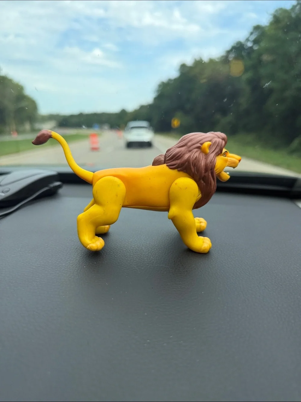 N/A disney lion